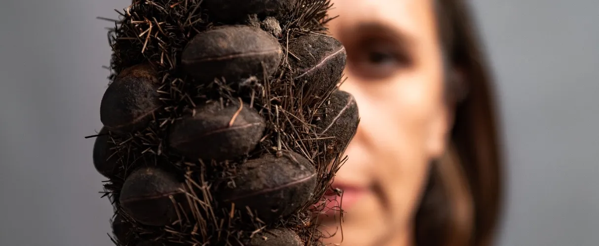 Anne Harris, photographed by Amelia Shaw