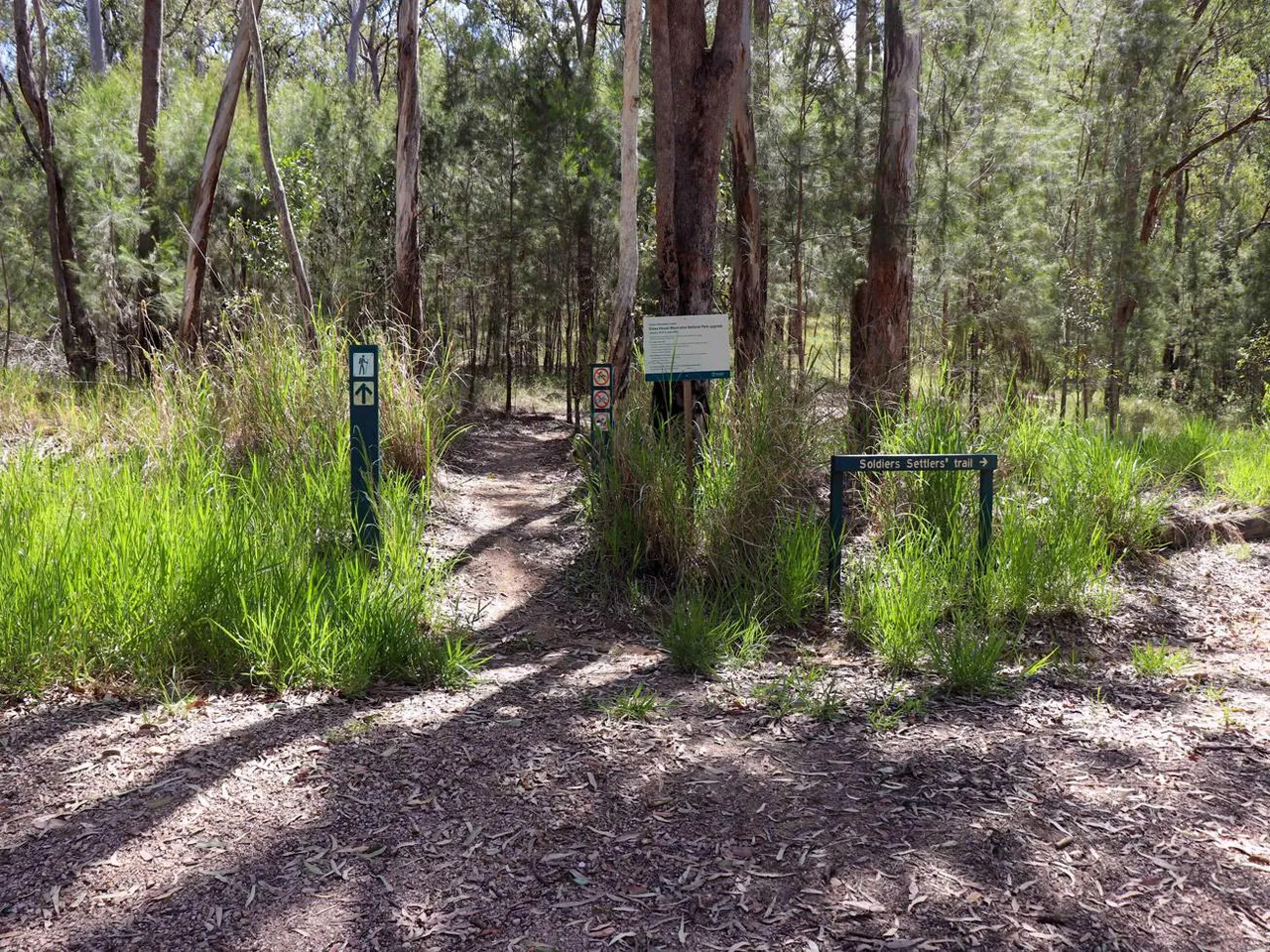 Yul-yan-man Track at Beerburrum