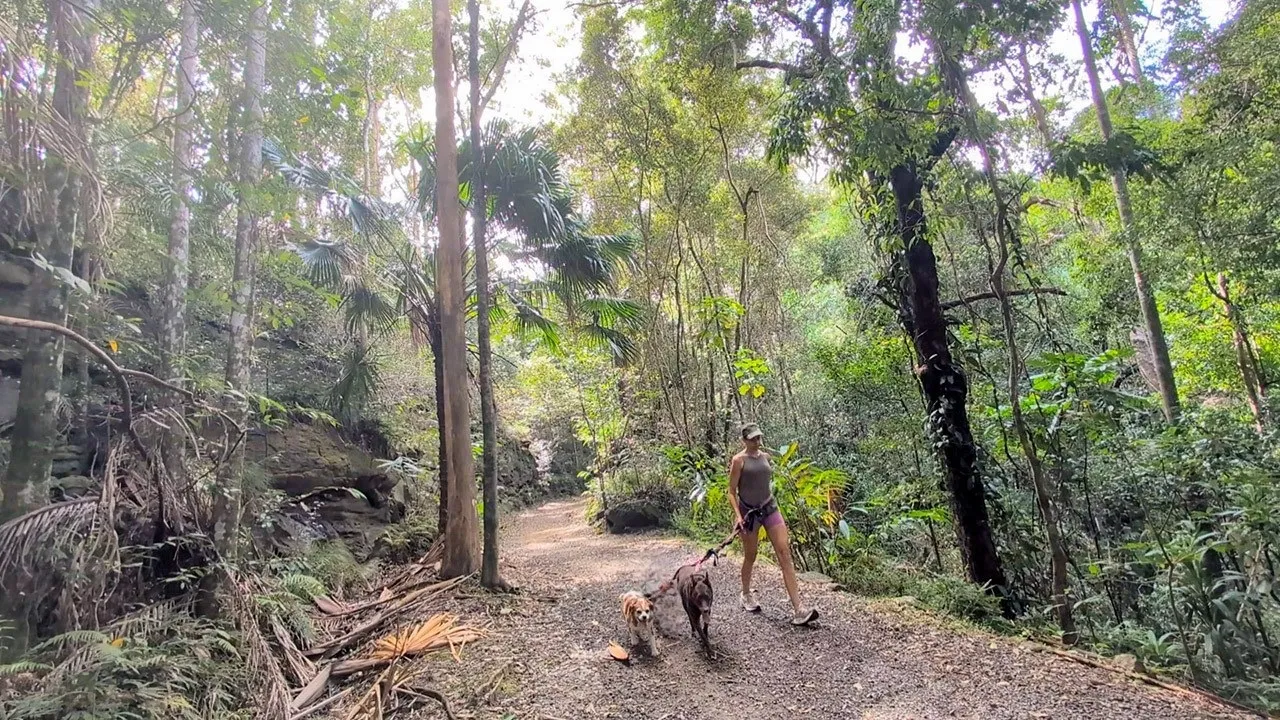 Buderim Tramway Trail