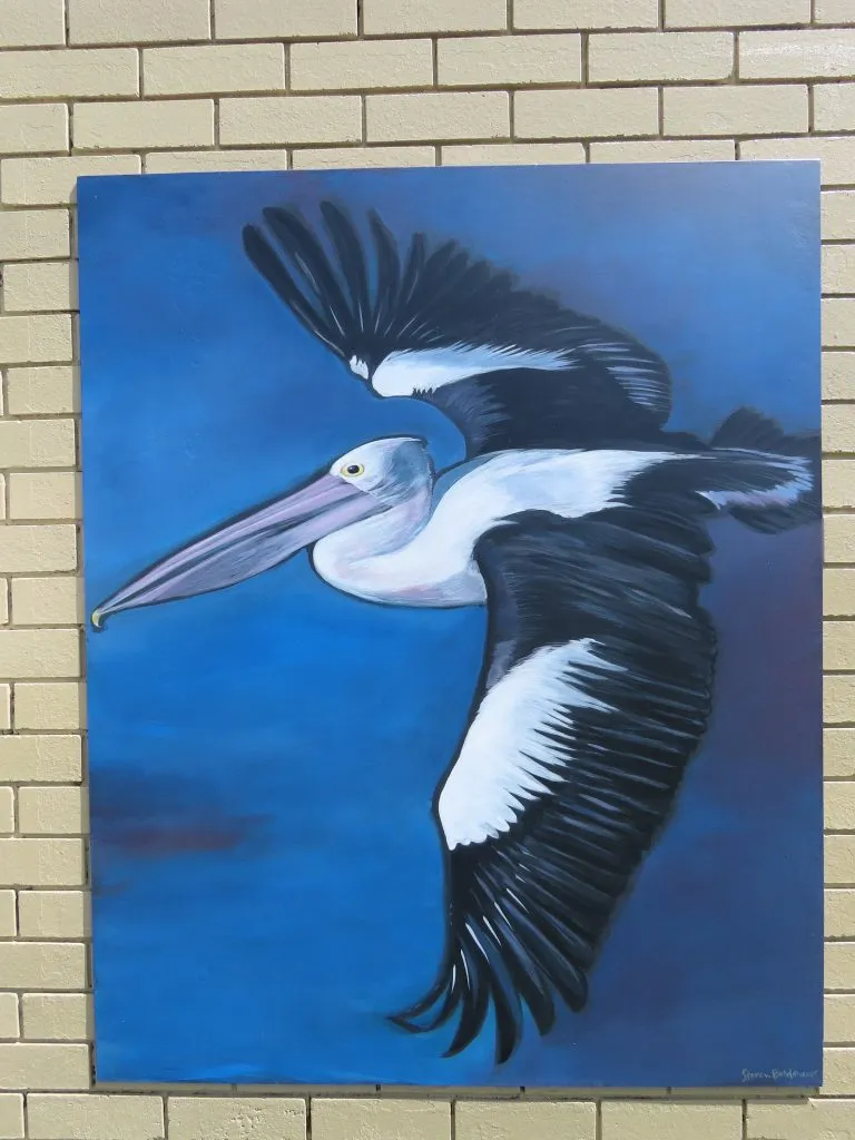 Bells Creek Mural Australian Pelican