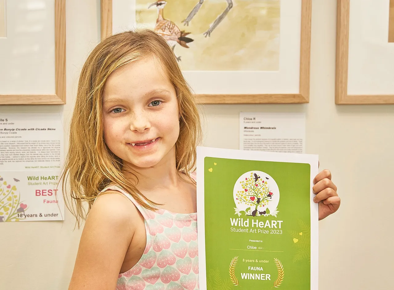 Under 8s Fauna winner “Wondrous Whimbrels” by Chloe R. Image credit Greg Miller.