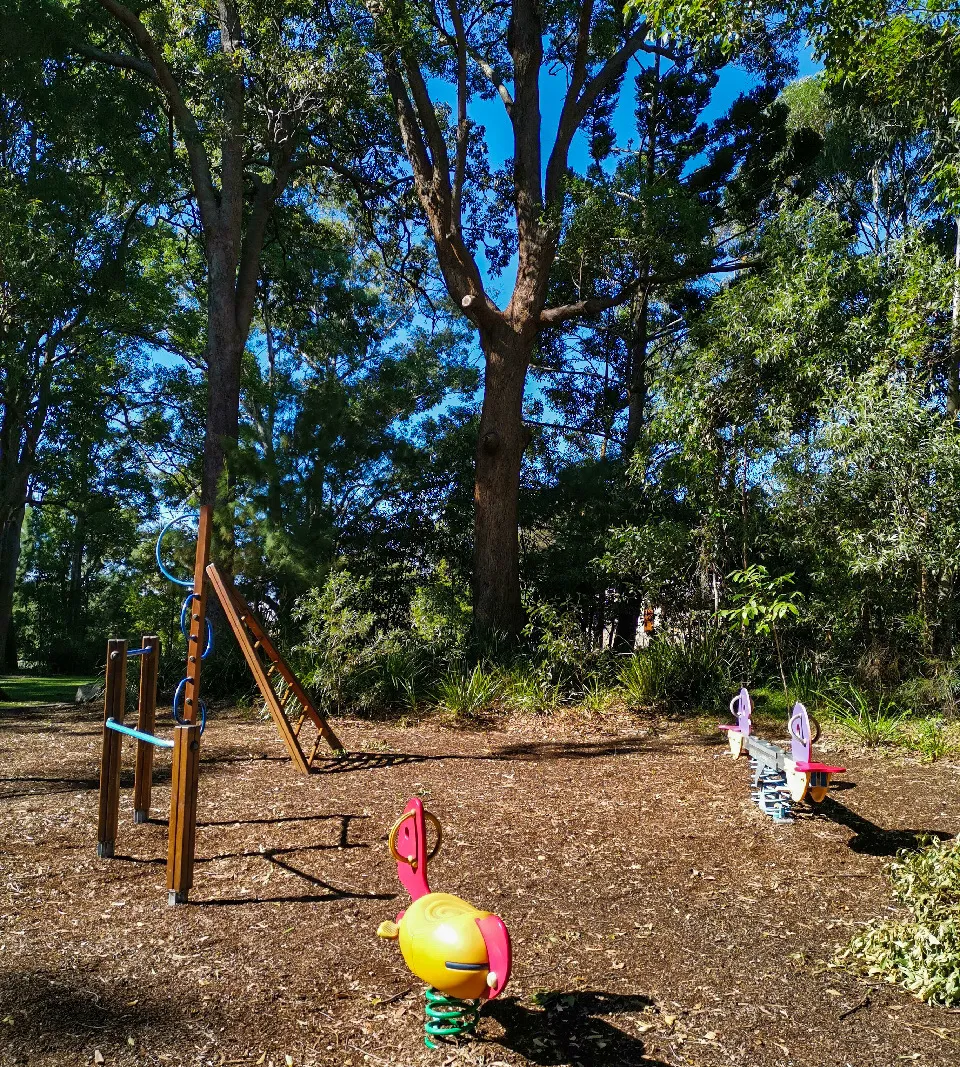 64575_Bush-playground_edited.jpg