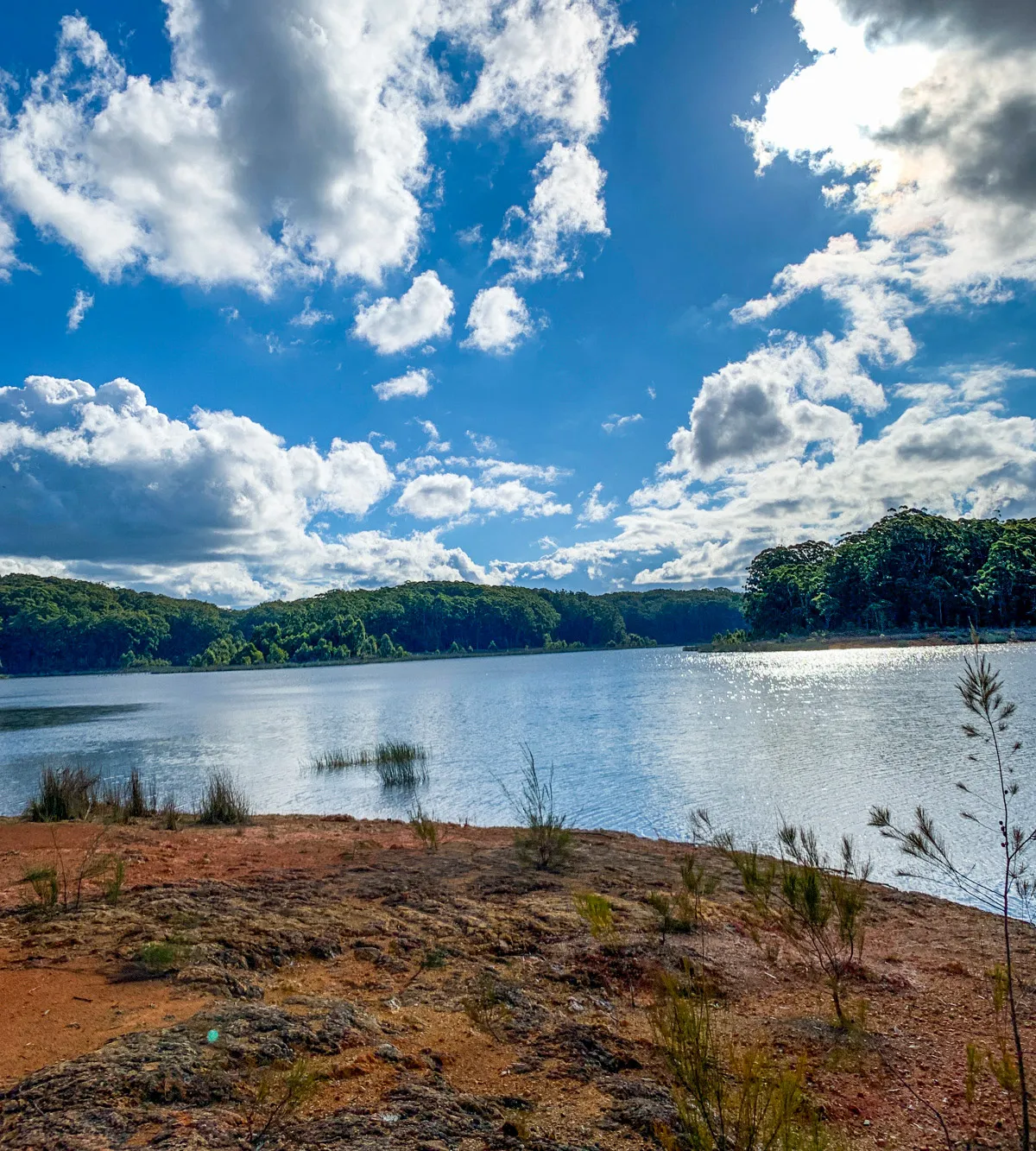 Cooloolabin Dam – Day-use short walk