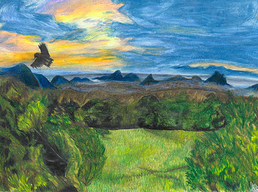 Dakotah Collins - Under 13 Winner