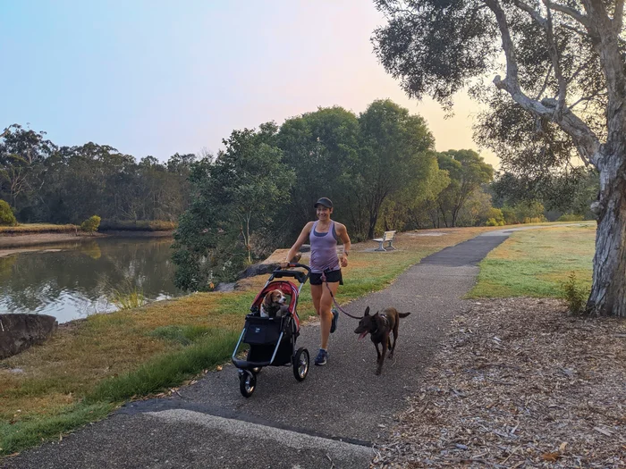 Buderim Walks - Mountain Creek Circuit