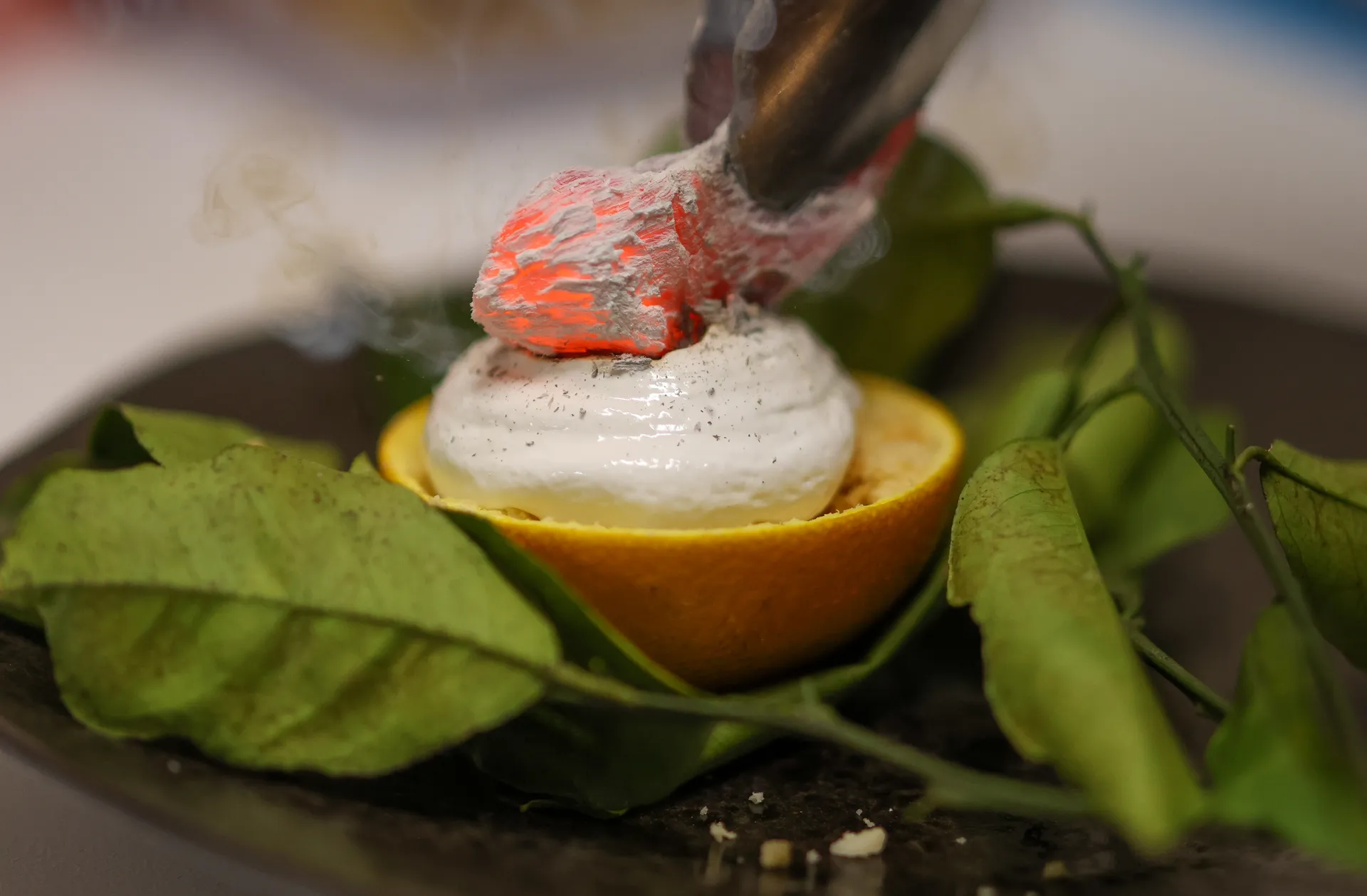 1.%2020230729CurateaPlate-171.jpg
