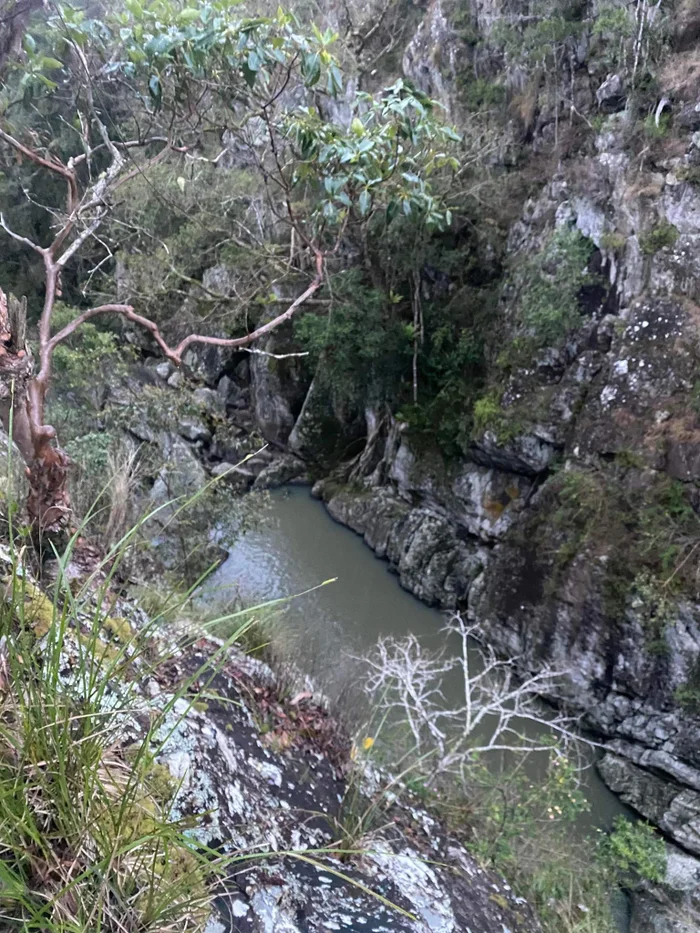 Adventure: Mapleton National Park – Piccabeen Circuit (7.6km)