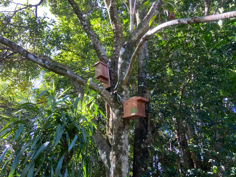 Biodiverse nest box.