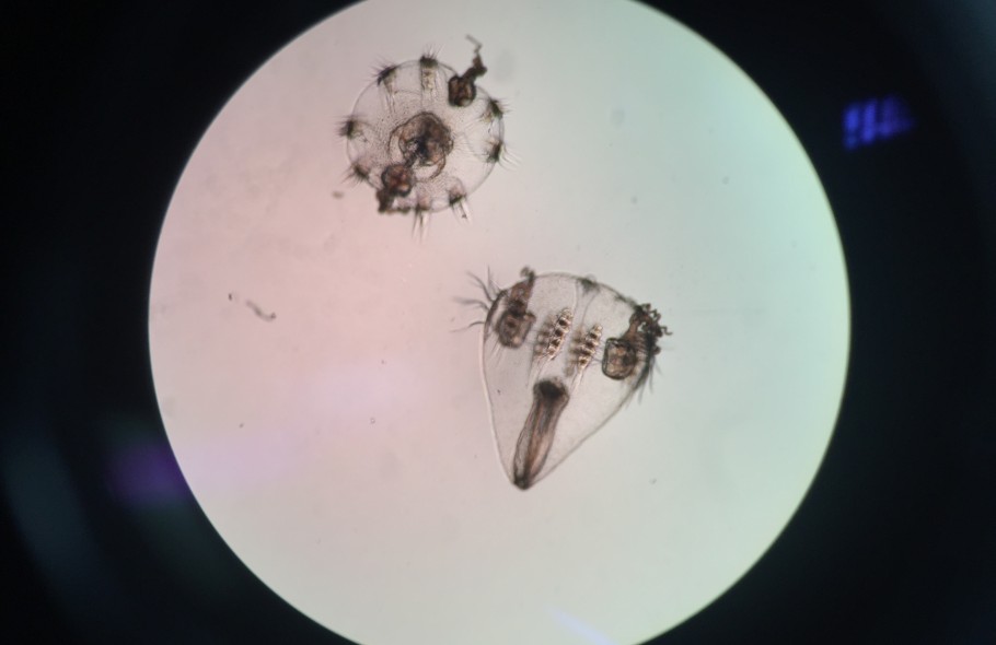 A3678257-A2DA-4C08-A6EB-6D236F655D80