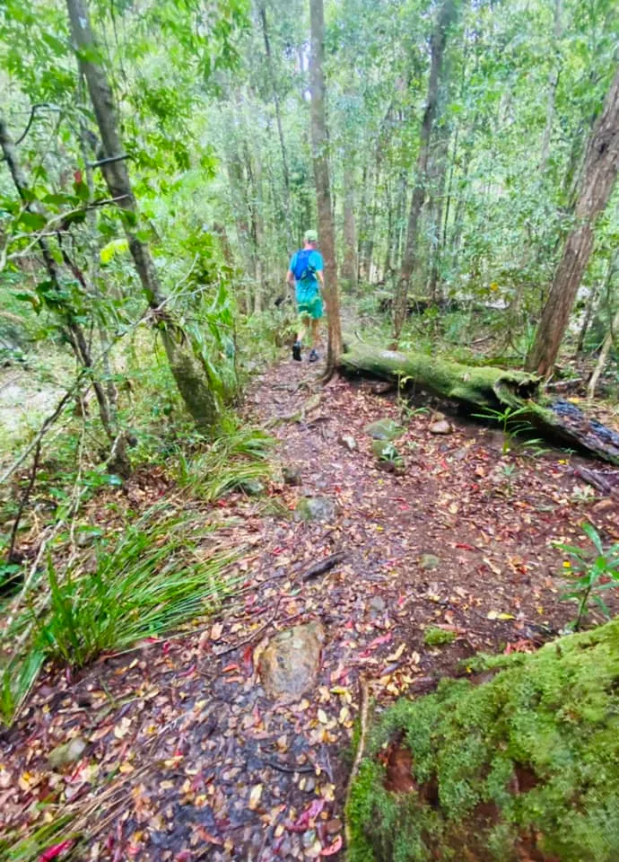 Mapleton National Park – Gheerulla Full Loop Hike