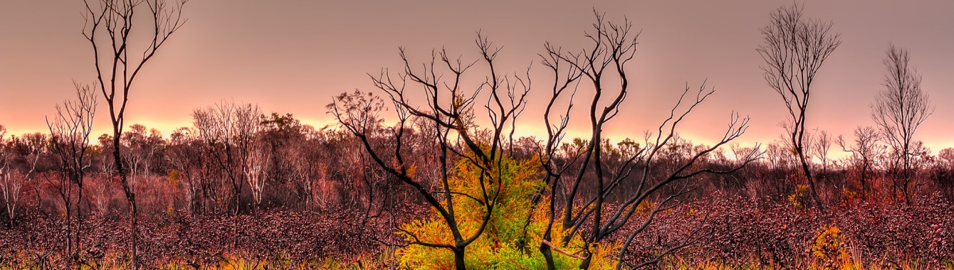 Mooloolah River National Park