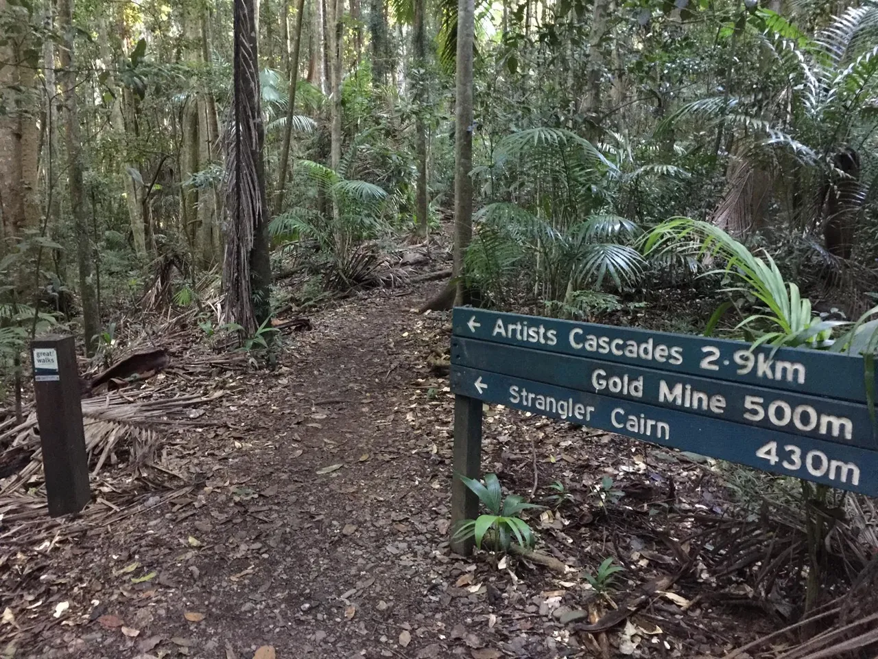 42833_Conondale%20Ranges%20NP%20Booloumba%20Gold%20Mine%20walk%20IMG_3289.jpg
