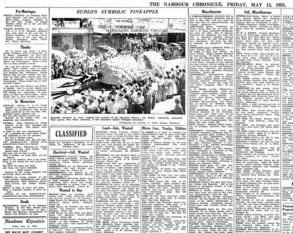 Article from the Nambour Chronicle about the Pineapple Queen