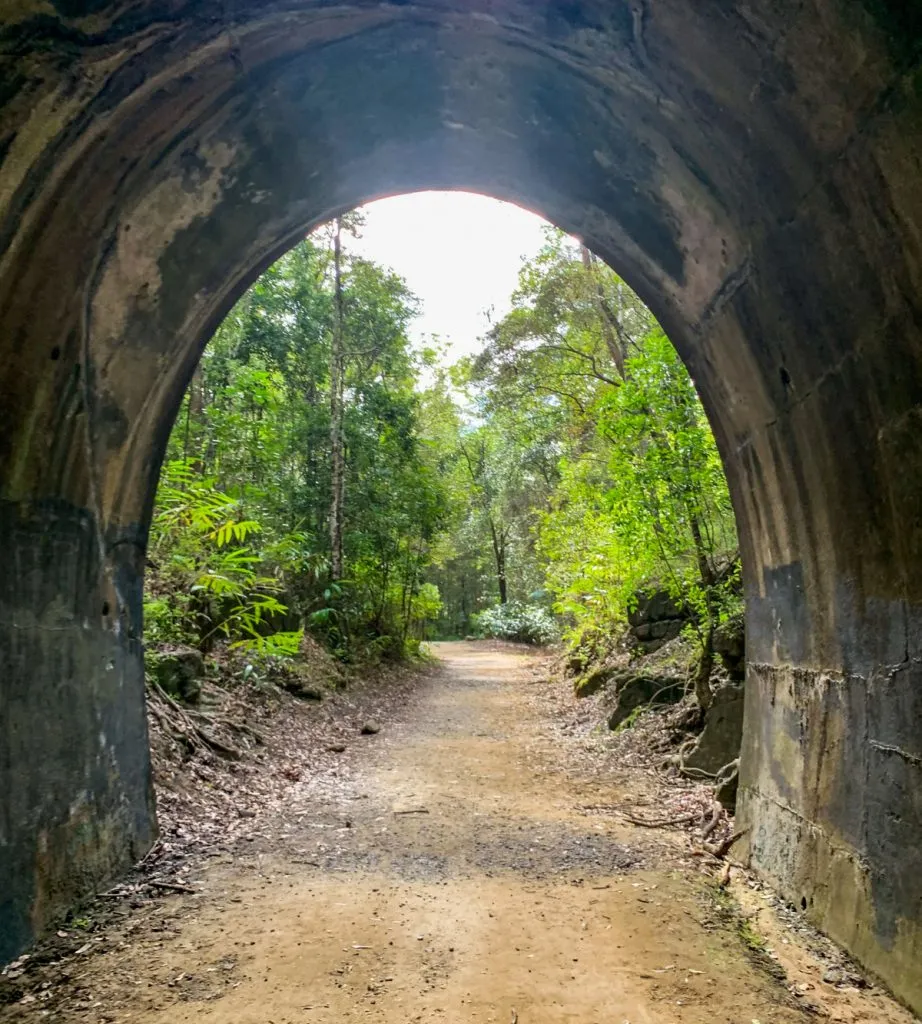 7212_Tunnel3_edited-922x1024.jpg