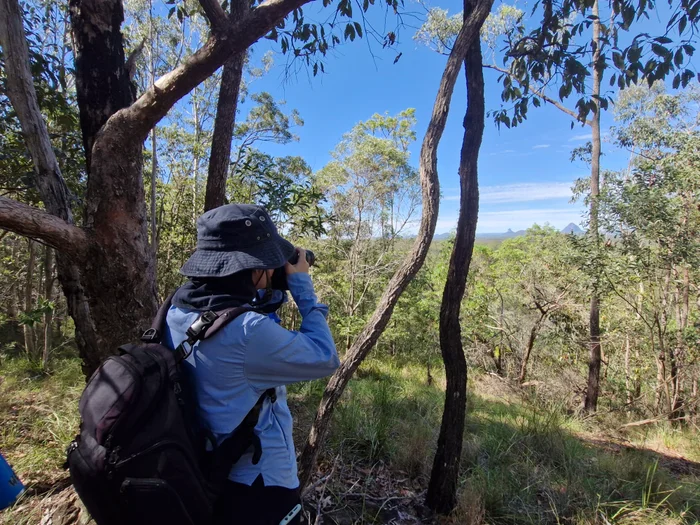 Skilling Queenslanders for work trainee in Brannocks Reserve