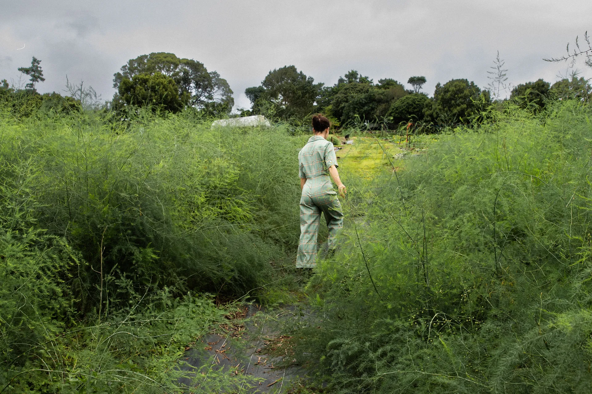 Woman walking through Falls Farm