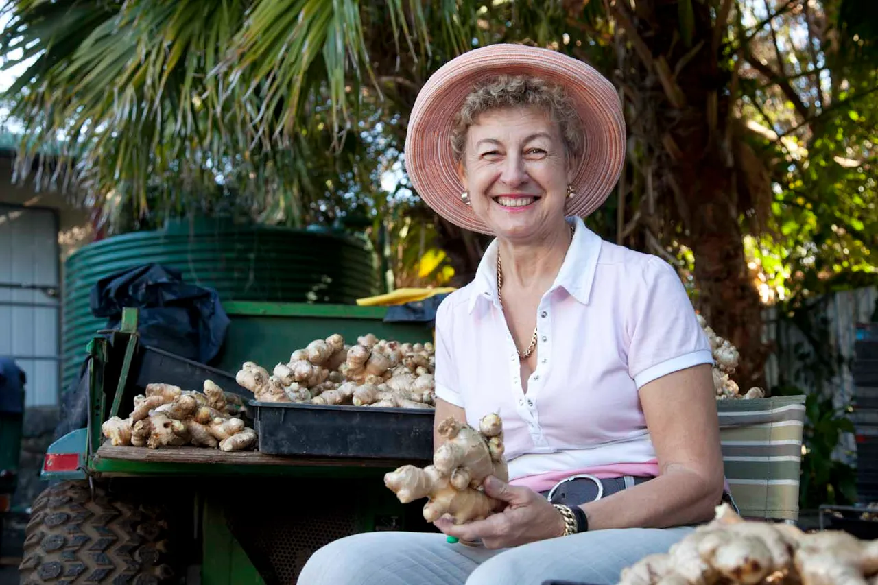 Lady separating ginger at Sunray Nursery