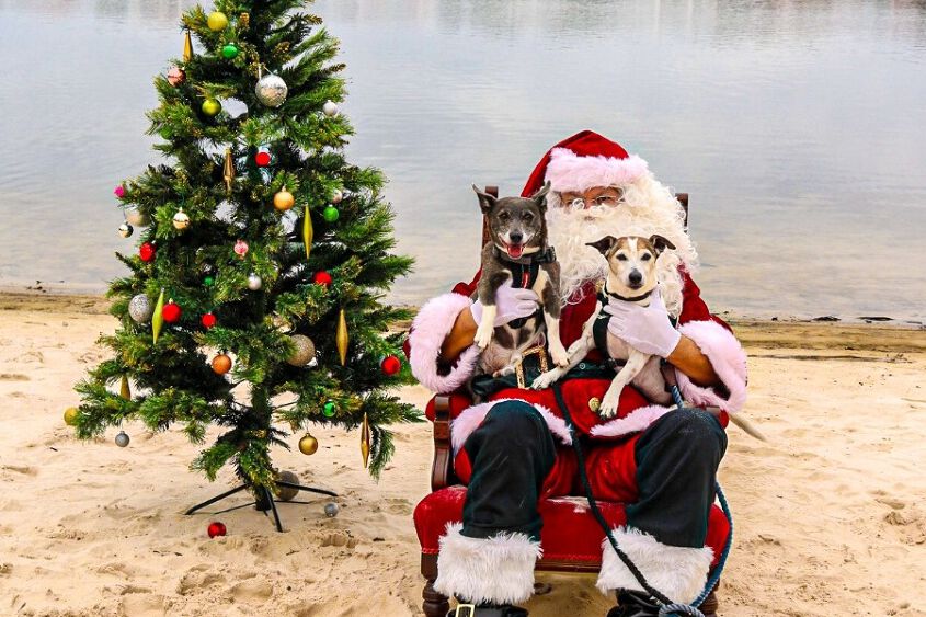 Santa%20Paws%20in%20the%20Park.jpg