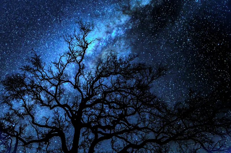 The Night Sky exhibition