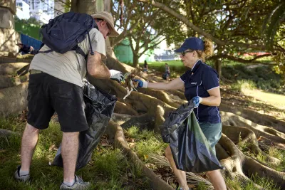 people picking litter by trees