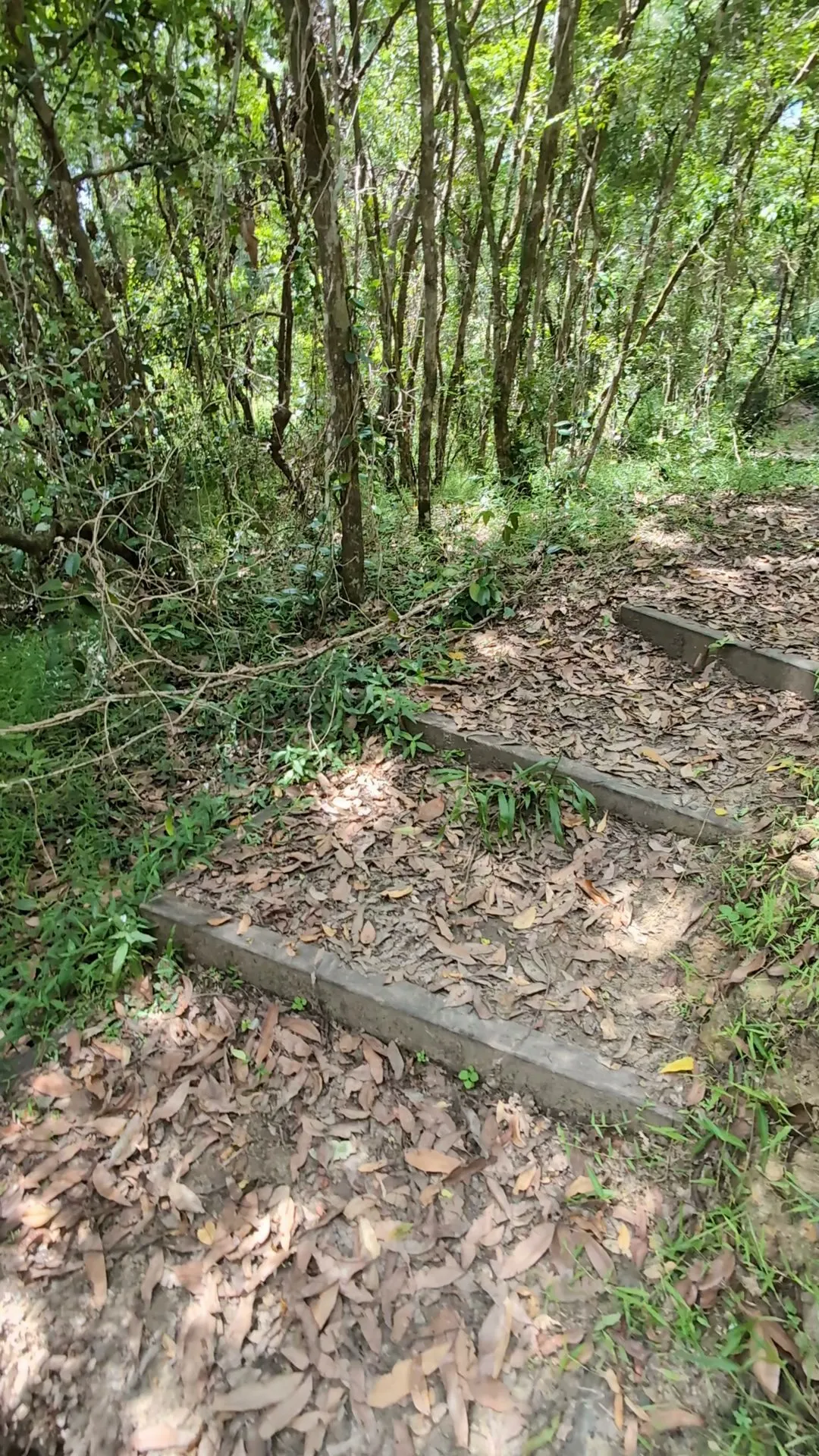 Little Rocky Creek: Axe grinding site