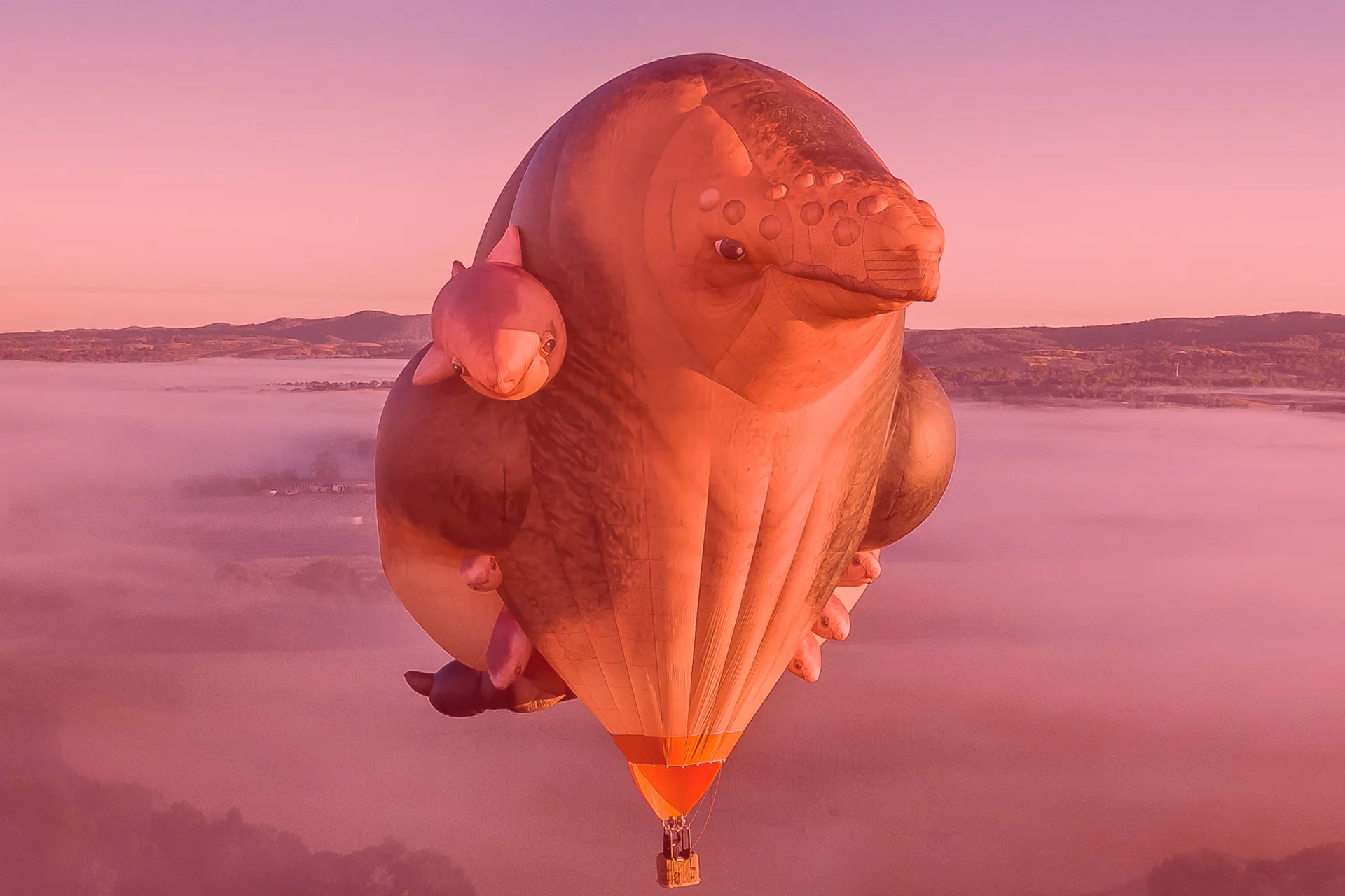 Skywhales_web.jpg