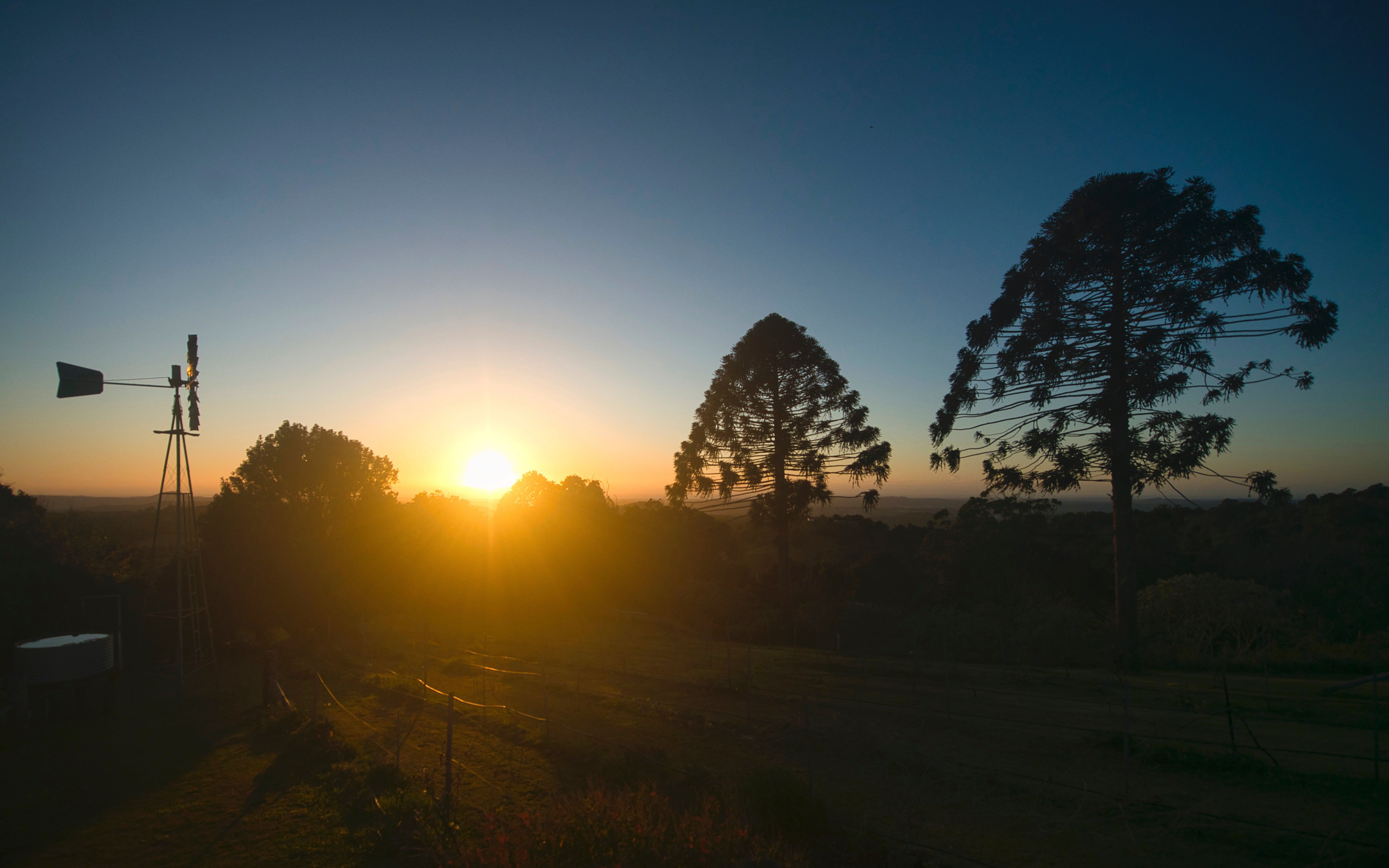 A sunrise or sunset image.... featuring various silhouettes - a windmill to the left, mountains in the distance and two big Bunya trees to the right.