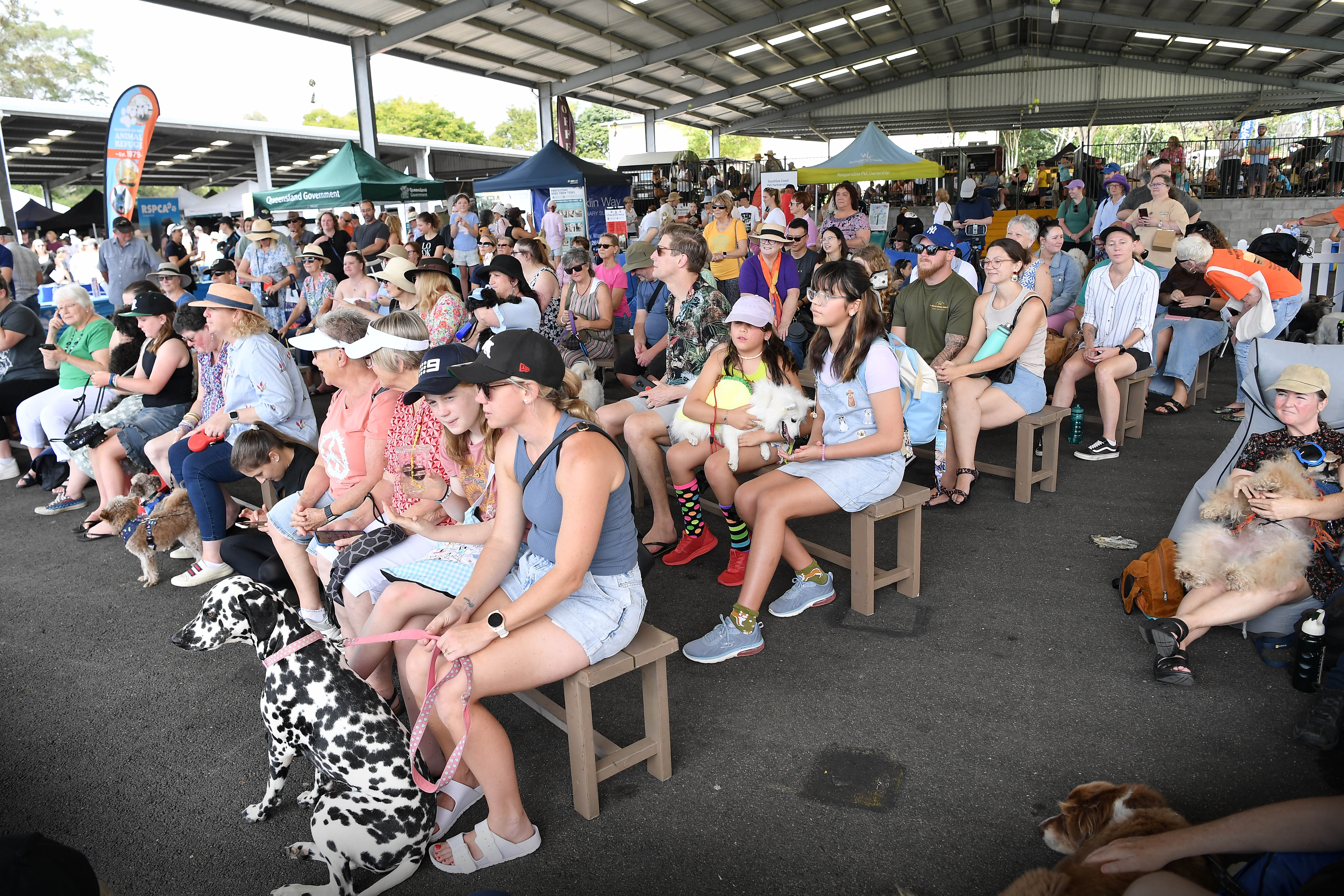 Enjoying the action on the main stage