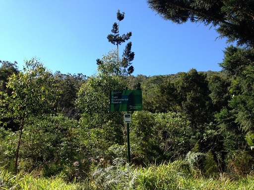 F0884EC3-65F6-419C-981F-1D7F71248332