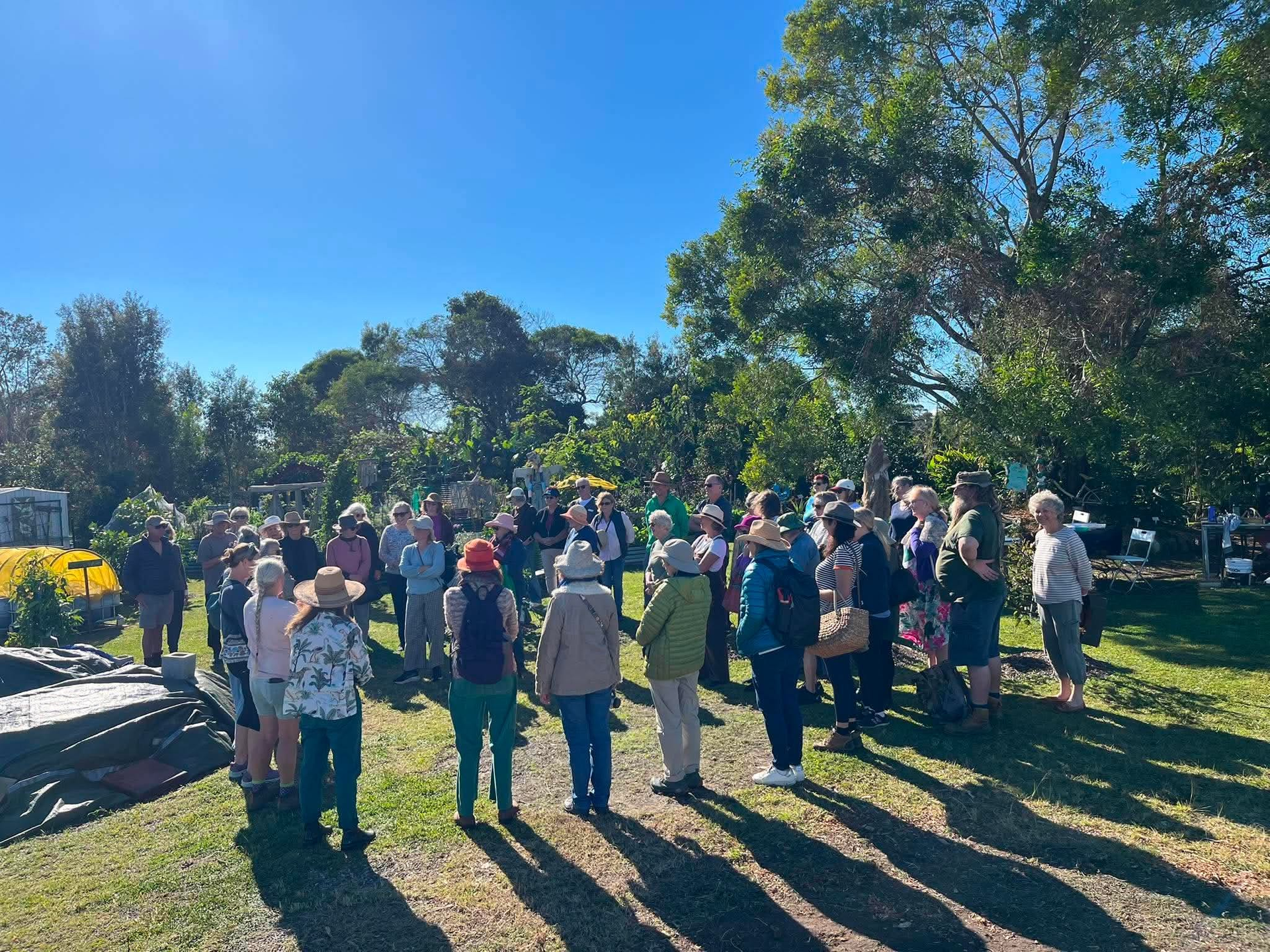 Mudjimba Community Garden filled with people on an open day.