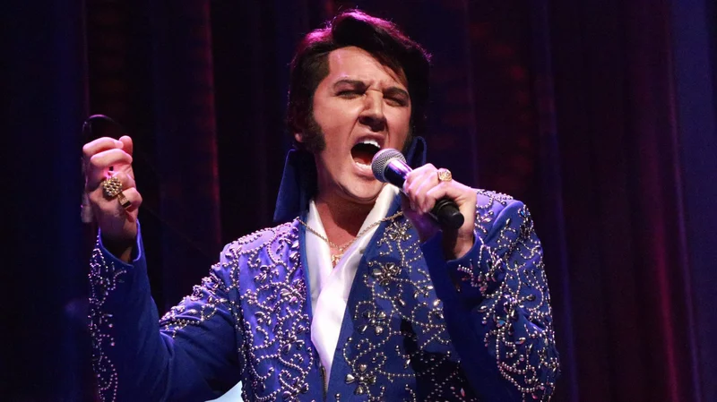 ELVIS-KING-IN-CONCERT-Image-2018-scaled.jpg