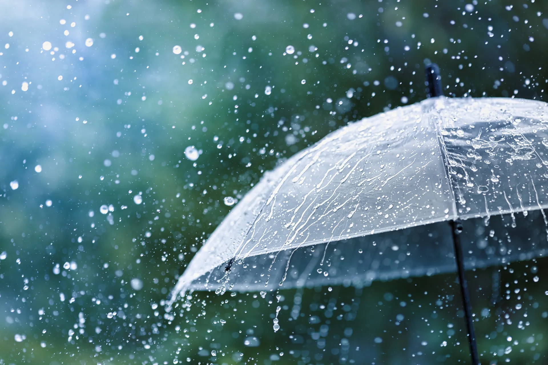 umbrella and rain