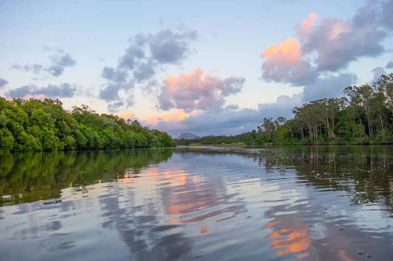 Maroochy-River.jpg