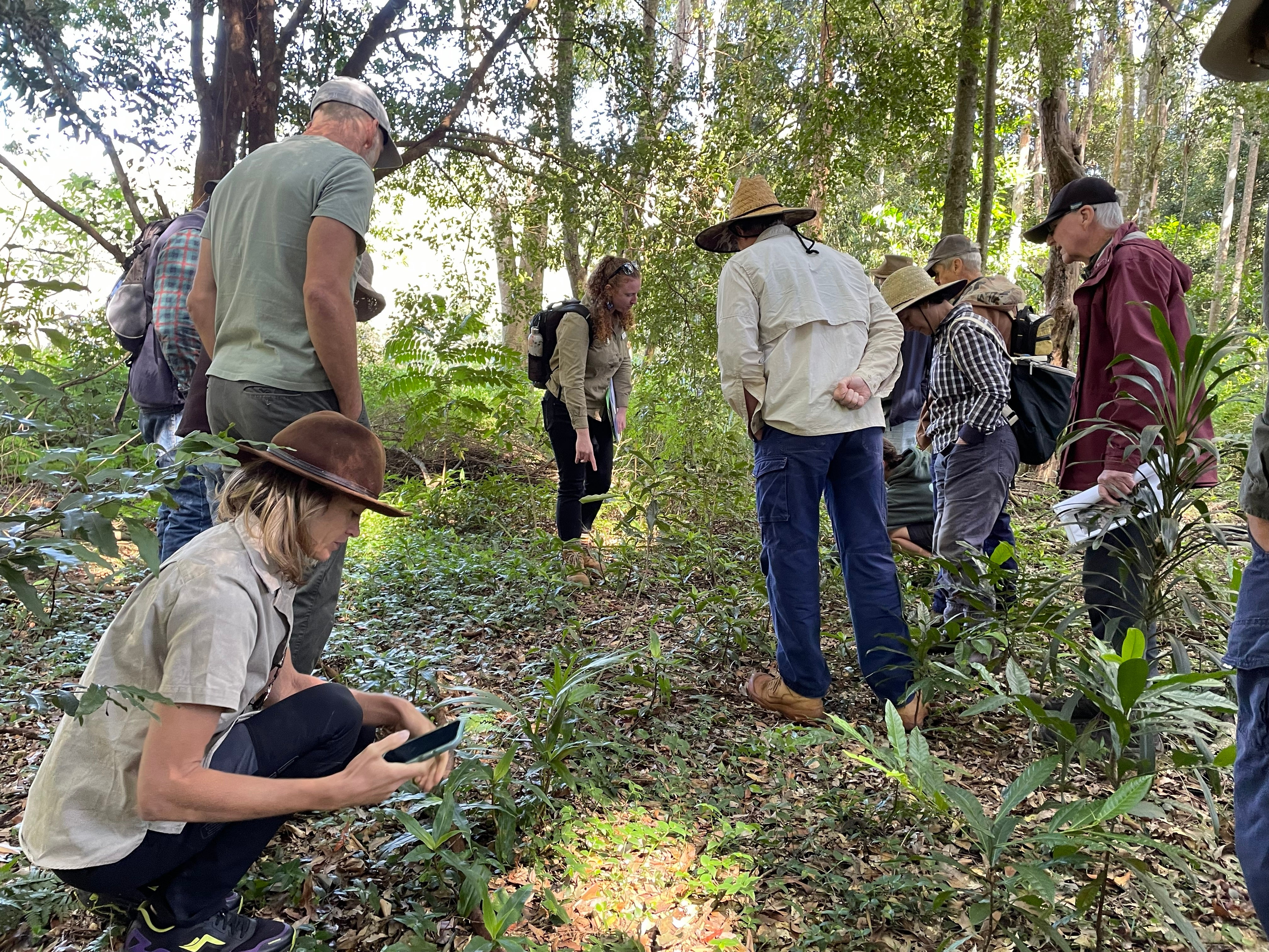 weed ID at Maleny community day