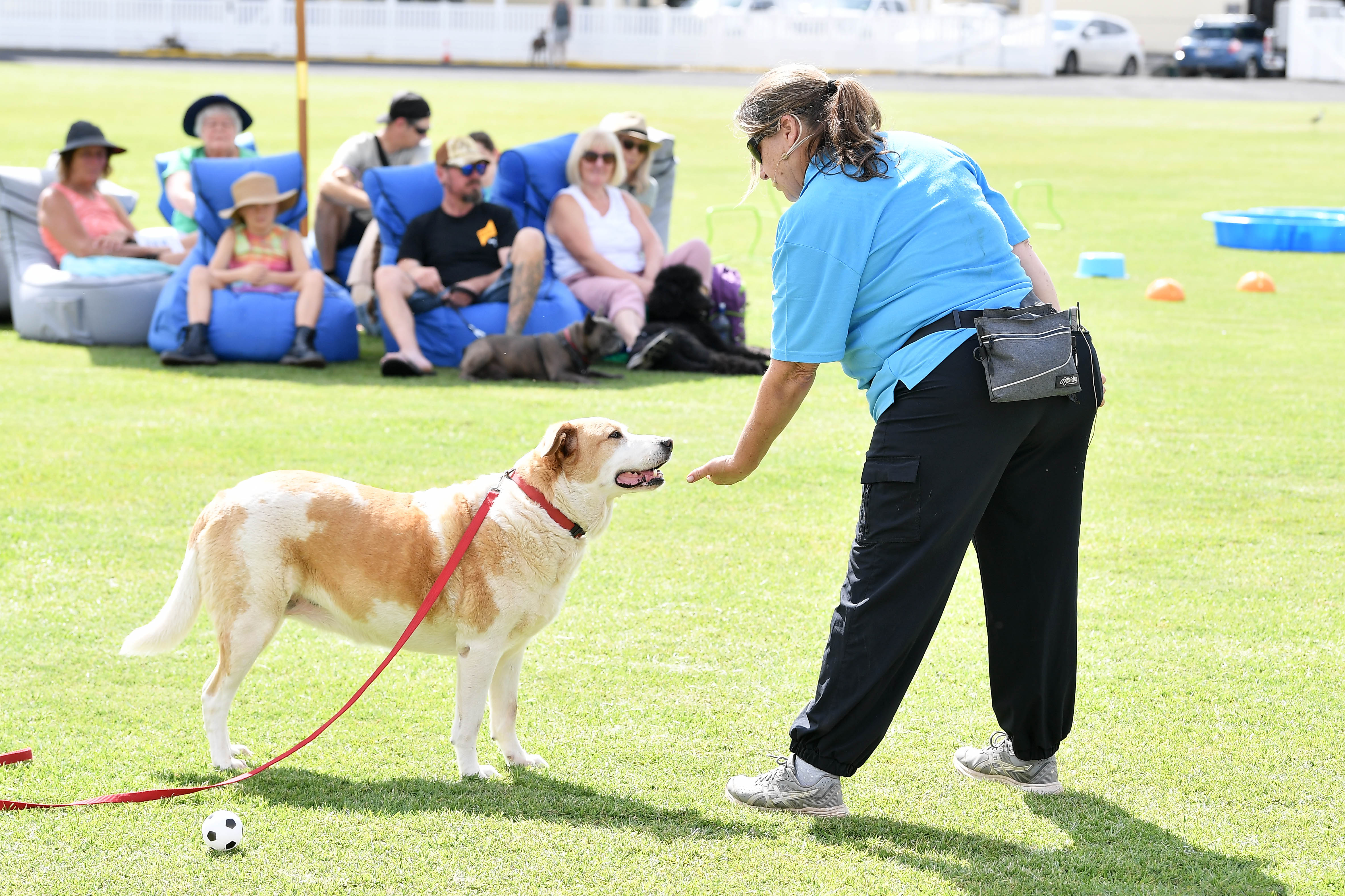 Training demonstration