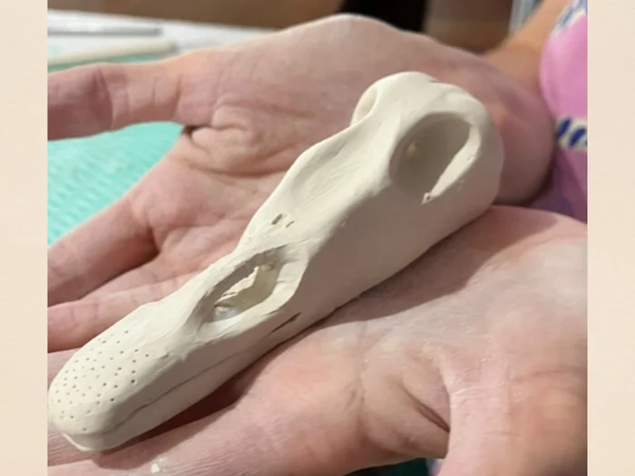 Free clay workshops to celebrate our birdlife 