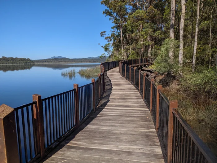 A Sunshine Coast bucket-list adventure for nature lovers