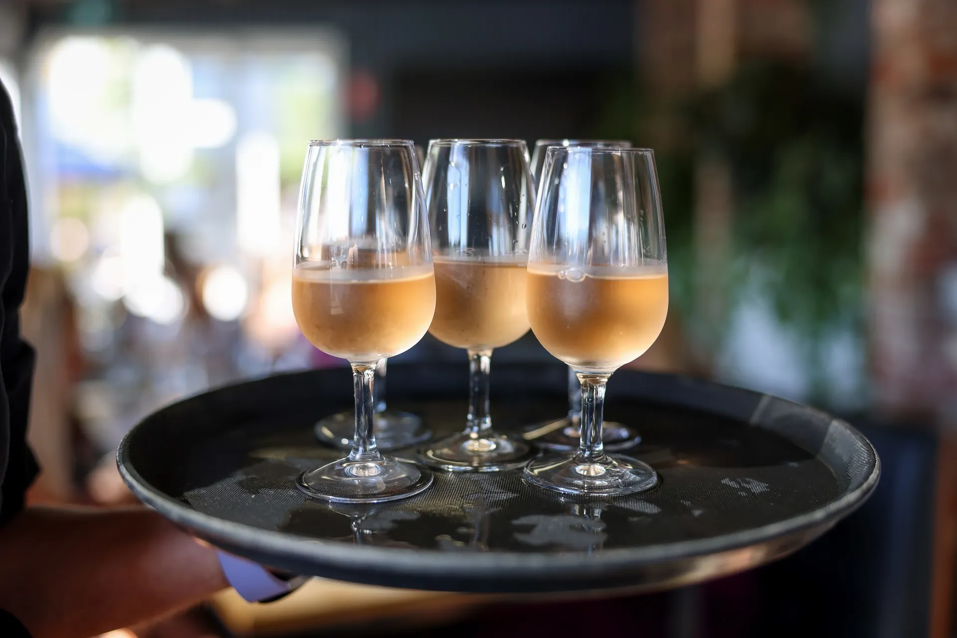 Tray of 3 glasses of wine being served for The Curated Plate 2023