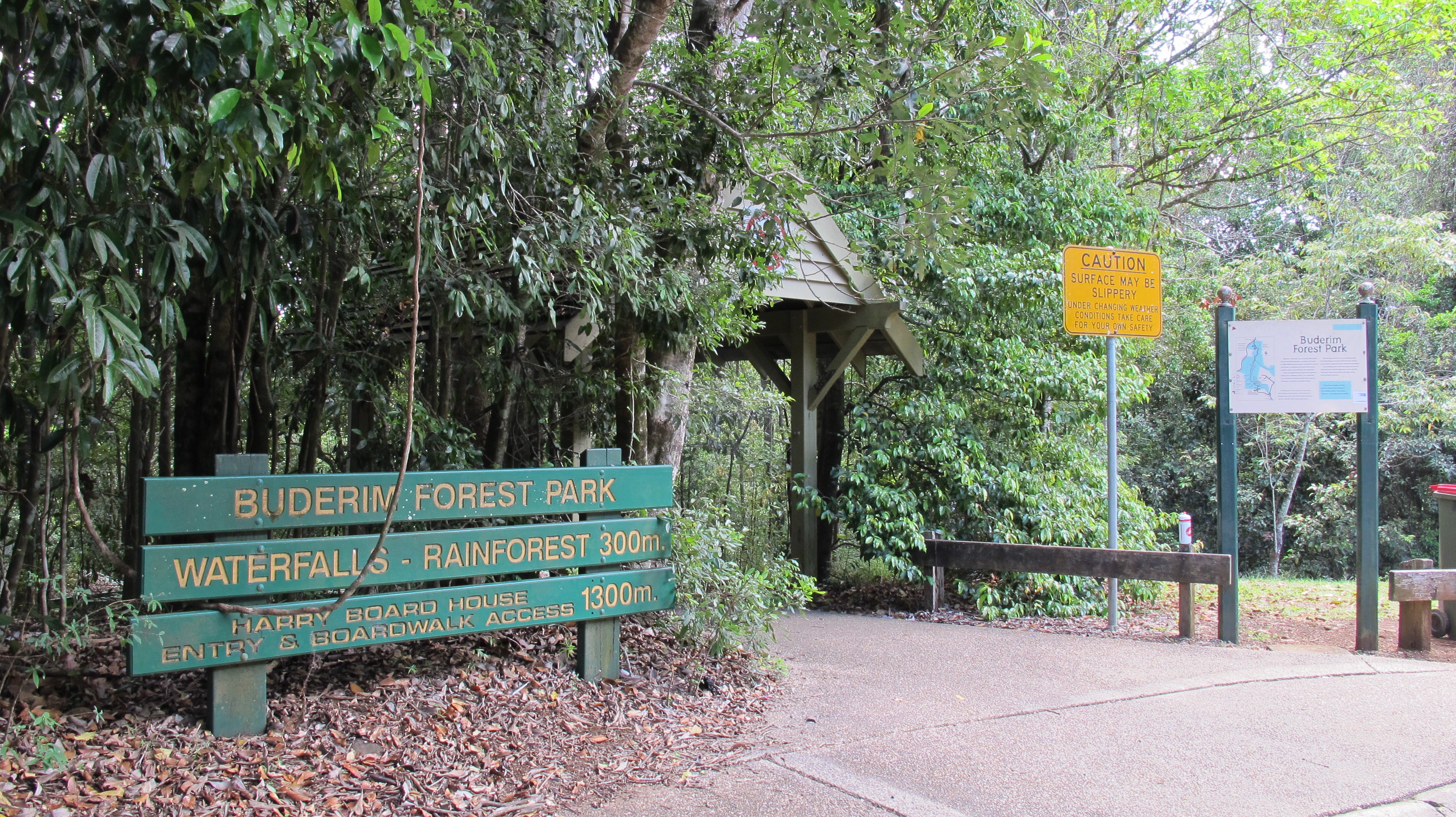 Buderim Forest Park | Sunshine Coast Council