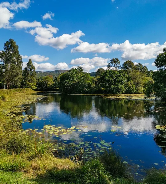 Mooloolah-1.jpg