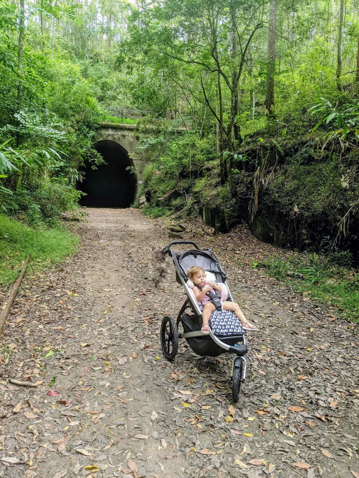 Dularcha National Park – Tunnel Track