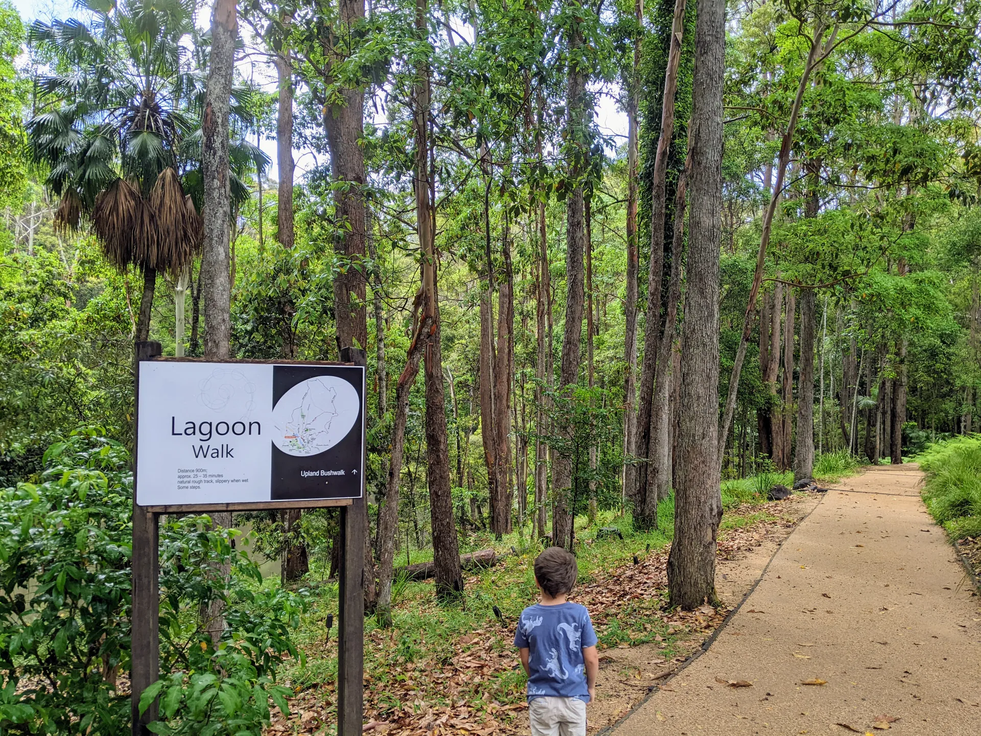 Maroochy Bushland Botanic Garden, Lagoon Walk