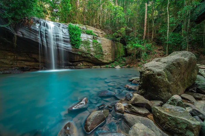 Buderim Forest Park - Falls Loop