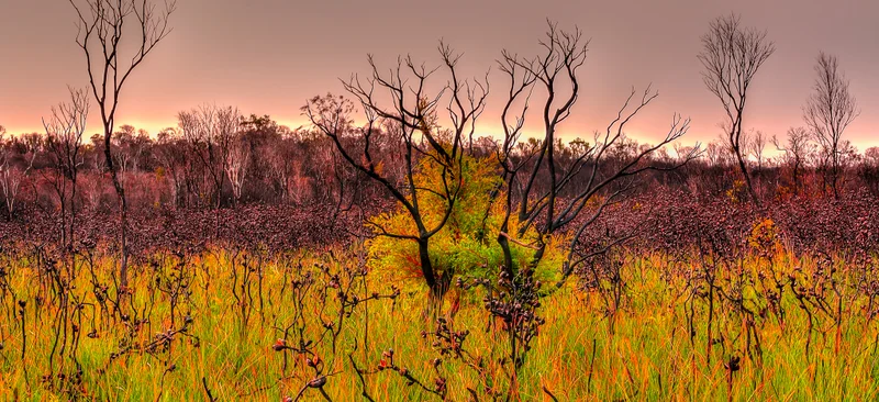 S_McCALLUM_Mooloolah_River_National_Park.jpg