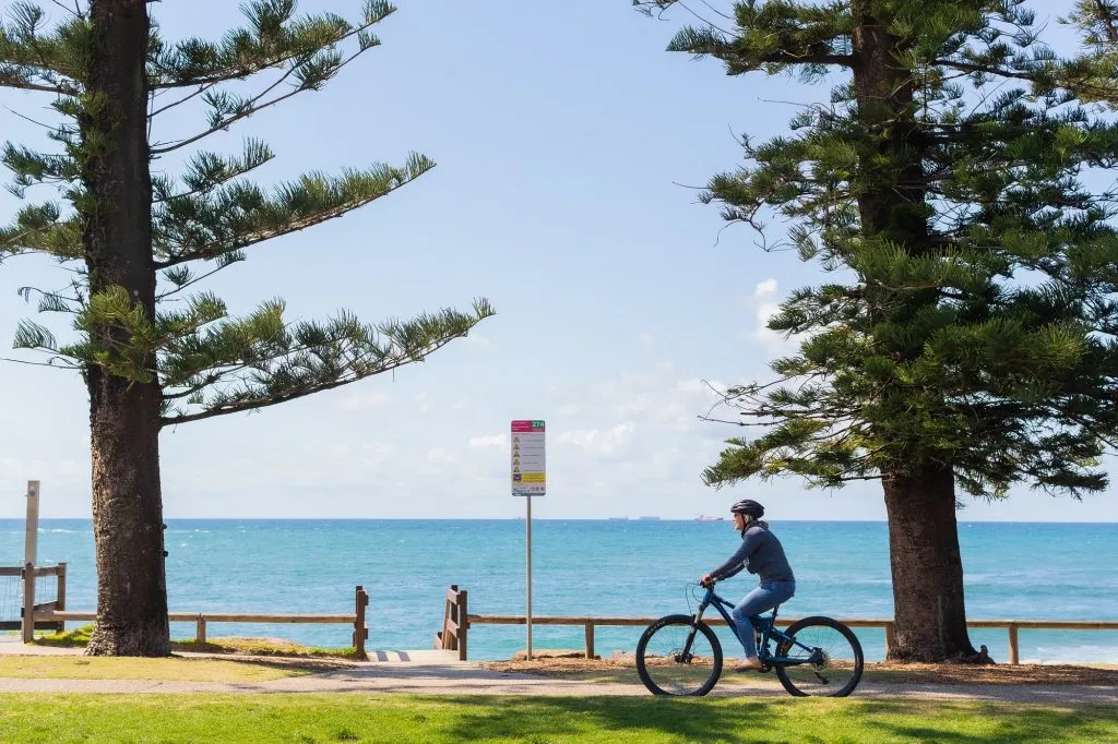 Coastal-pathway-bike-view-MOFFAT-BEACH-PRINT-1024x682.jpg