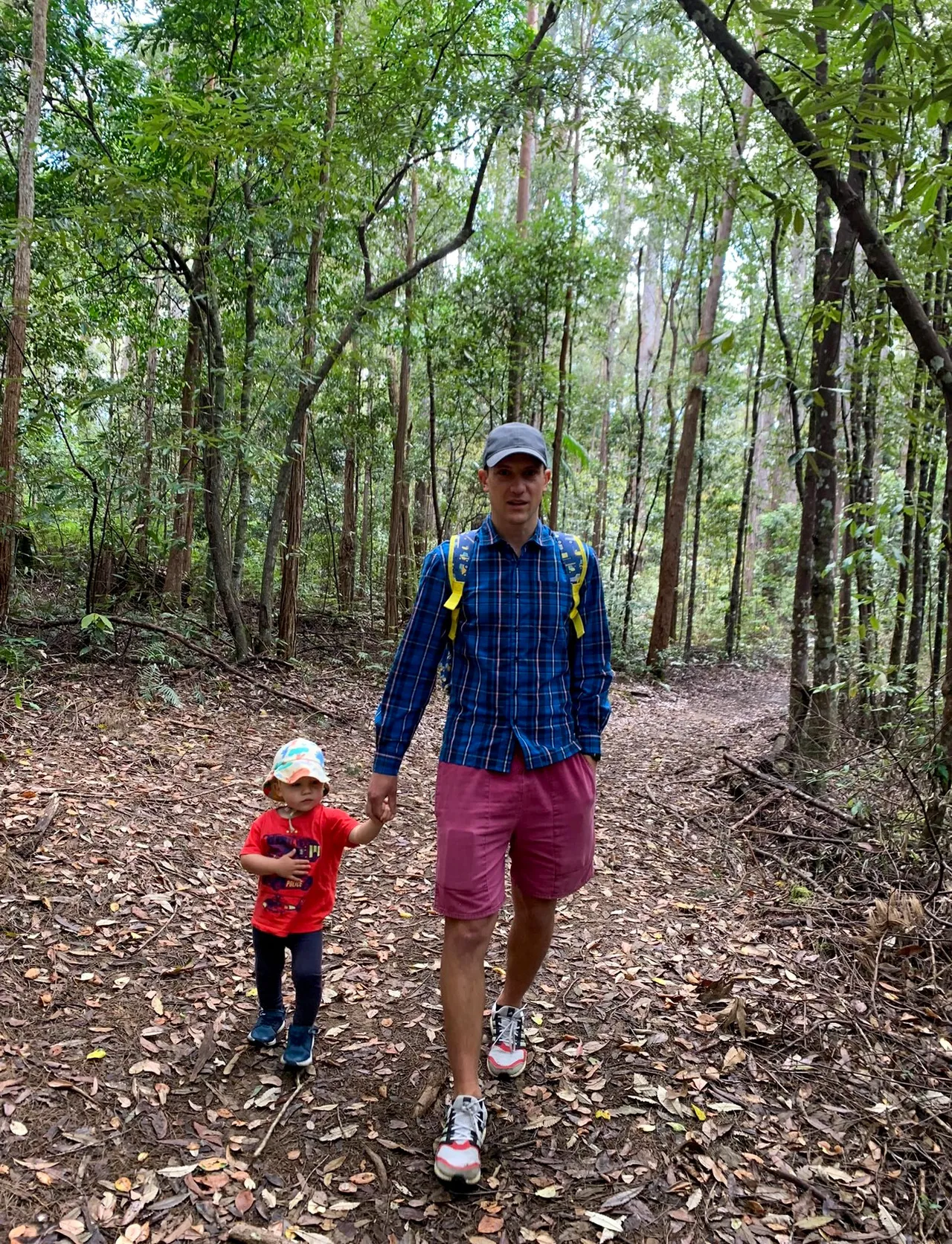 Cooloolabin Dam – Day-use short walk