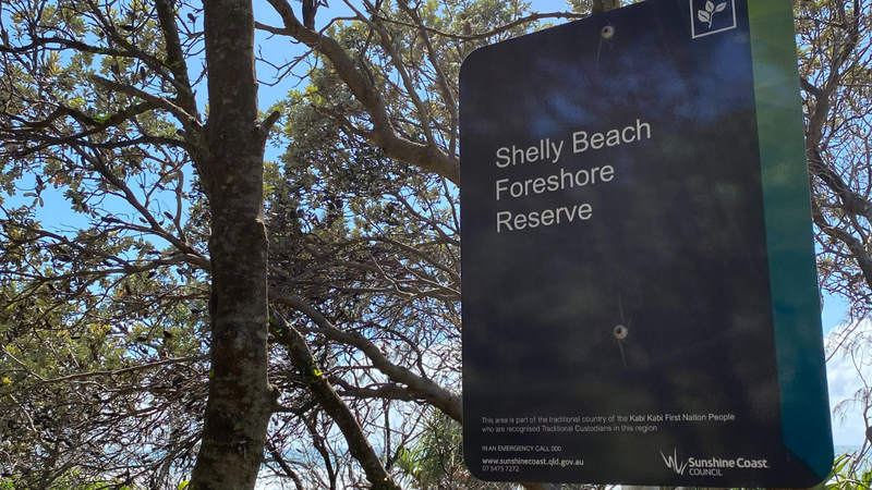 Shelly-Beach-to-Moffat-Beach.png