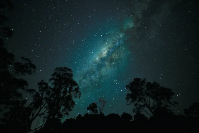 An image of the milky way, with silhouettes of trees in the foreground.