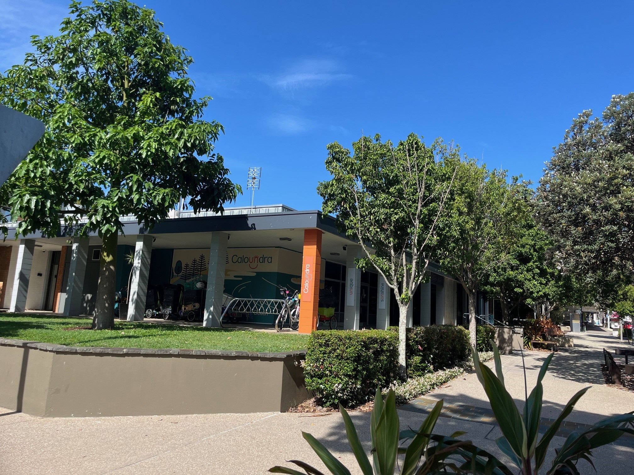 Building of 77 Bulcock Street next to Felicity Park. 