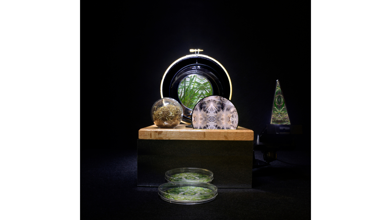 Carbon_Dating exhibition work
Personal Interweaver, Carbon_Dating Project, donna davis, 2022, mixed media interactive sculpture: video, audio, grass card provocations, timber, glass, acrylic, mirror, mobile phone, pen, grass seed, metal, headphones. Video by Keith Armstrong, Sound design by Luke Lickfold, Grass Card provocations by Daniele Constance.
Photo credit: donna davis